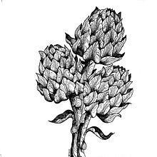 Artichoke . Un progetto di Illustrazione tradizionale di lepinink - 05.03.2022