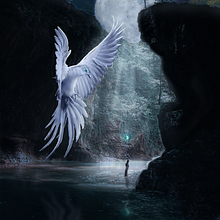 The Protector - Dinarte Vieira. Photograph, Photograph, Post-production, VFX, Photo Retouching, Fine-Art Photograph, Photographic Composition, and Photomontage project by Dinarte Vieira - 03.05.2022