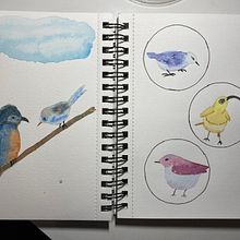 My project in Creative Watercolor Sketching for Beginners course. Traditional illustration, Sketching, Creativit, Drawing, Watercolor Painting, and Sketchbook project by Kimberly Kimball - 03.05.2022