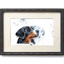 Mein Kursprojekt: Ausdrucksstarke Tierporträts in Aquarell. Un progetto di Illustrazione tradizionale, Pittura ad acquerello, Disegno realistico e Illustrazione naturalistica di Nicole Bertschus - 05.03.2022