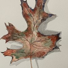 Falling leaves. Projekt z dziedziny Trad, c i jna ilustracja użytkownika vacker8 - 04.03.2022