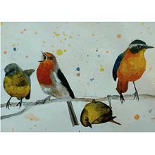 My project in Artistic Watercolor Techniques for Illustrating Birds course. Projekt z dziedziny Trad, c, jna ilustracja, Malowanie akwarelą, R, sunek realist, czn, Ilustracja naturalist i czna użytkownika adela maldonado - 06.03.2022