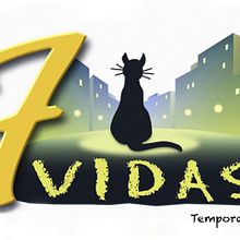 Siete Vidas. Un proyecto de Cine y Guion de Daniel Monedero - 07.03.2022