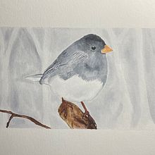 My project for course: Artistic Watercolor Techniques for Illustrating Birds. Un proyecto de Ilustración tradicional, Pintura a la acuarela, Dibujo realista e Ilustración naturalista				 de artmartin311 - 07.03.2022