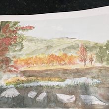Maine meadow. Un progetto di Belle arti, Pittura e Pittura ad acquerello di Patricia Czichos - 08.03.2022