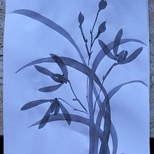 My project for course: Introduction to Sumi-e Painting. Traditional illustration, Drawing & Ink Illustration project by Julia - 03.08.2022