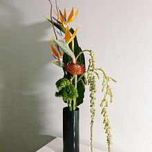 Savia Bruta project. Un projet de Design d'intérieur, Pa, sagisme, Décoration, DIY , et Art floral et végétal de Sara - 08.03.2022