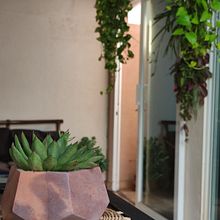 Mi Proyecto del curso: Diseño de interiores con plantas desde cero. Interior Design, L, scape Architecture, Decoration, Interior Decoration, DIY, Floral, Plant Design, and Spatial Design project by Ana Villarreal - 03.06.2022