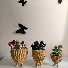 Mis macetas Sak. Un progetto di Artigianato, Belle arti e Ceramica di Jacqueline Alberdi - 08.03.2022
