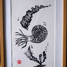 Linogravure Ammonite Ein Projekt aus dem Bereich Traditionelle Illustration von Mathilde Allard - 09.03.2022