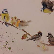 Mein Kursprojekt: Illustriere Vögel mit expressiven Aquarelltechniken. Traditional illustration, Watercolor Painting, Realistic Drawing, and Naturalistic Illustration project by Katrin Krammer - 03.09.2022