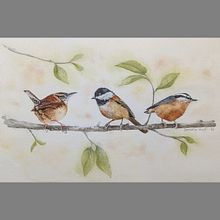 My project for course: Artistic Watercolor Techniques for Illustrating Birds. Traditional illustration, Watercolor Painting, Realistic Drawing, and Naturalistic Illustration project by Marcia Huff - 03.09.2022
