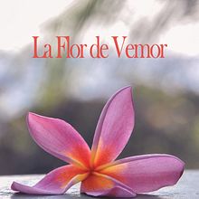 La Flor de Vemor. Writing, Stor, telling, Narrative, Fiction Writing, and Creative Writing project by Veronica Montesdeoca - 03.10.2022