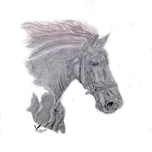 Técnica Grafito y plumilla - YuliCedeñoART-Illustrations. Traditional illustration project by Yuli Cedeño - 03.10.2022