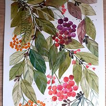 Il mio progetto del corso: Acquerelli floreali: entra in sintonia con la natura. Projekt z dziedziny Trad, c, jna ilustracja,  Malarstwo, Malowanie akwarelą, R i sunek botaniczn użytkownika mariellambrosini - 11.03.2022