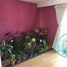 Mi Proyecto del curso: Estilismo y decoración del hogar con plantas. Projekt z dziedziny Projektowanie interakt, wne,  Dekoracja wnętrz, Dekoracja wnętrz, DIY, Kompoz, cje kwiatowe i botaniczne i Projektowanie przestrzeni użytkownika rubisabrina_89 - 11.03.2022