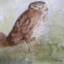 Meu projeto do curso: Técnicas expressivas de aquarela para ilustração de pássaros. Traditional illustration, Watercolor Painting, Realistic Drawing, and Naturalistic Illustration project by Dilson Antonio da Silva - 03.09.2022