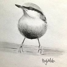 Mi Proyecto del curso: Acuarela artística para ilustración de aves. Un projet de Illustration traditionnelle, Aquarelle, Dessin réaliste et Illustration naturaliste de Lleysa Mesa - 11.03.2022