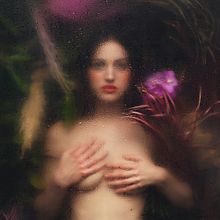 Wild Innocence. Portrait Photograph, Studio Photograph, Fine-Art Photograph, and Photograph project by Giuseppe Gradella - 03.12.2022