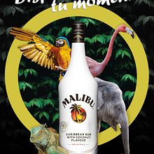 Cartel malibu. Un proyecto de Publicidad de Javier Delgado - 12.03.2022