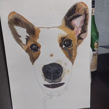 Mi Proyecto del curso: Retratos expresivos de animales en acuarela. Un proyecto de Ilustración tradicional, Pintura a la acuarela, Dibujo realista e Ilustración naturalista				 de Romina Rey - 13.03.2022