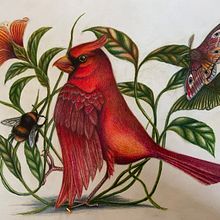 My project for course: Surrealist Illustration Inspired by Nature. Un progetto di Illustrazione tradizionale, Disegno a matita, Disegno, Disegno artistico, Illustrazione naturalistica e Disegno con matite colorate di Clare McFarlane - 13.03.2022