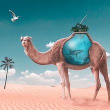 Le Dromad'eau. Een project van Fotografie, Collage, Retoucheren van foto's, Digitale illustratie, Fotografische compositie y Fotomontage van Pascal GRANGER - 13.03.2022