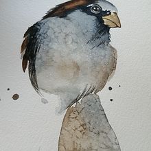 Mi Proyecto del curso: Acuarela naturalista con expresión y personalidad. Un progetto di Illustrazione tradizionale, Pittura ad acquerello e Illustrazione naturalistica di Carmen Flores - 13.03.2022