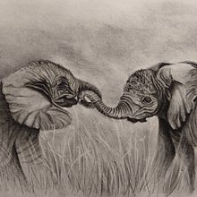 Charcoal Drawings. Un projet de Beaux Arts , et Dessin de Harriet Withers - 11.03.2022