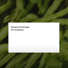 Bosque de lechugas | Poema visual. Film, Video, TV, Video, Stor, telling, and Fine Arts project by Lina Botero - 03.14.2022