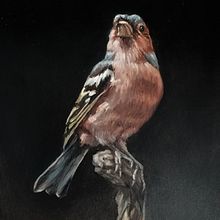 My project for course: Classical Oil Painting for Naturalist Bird Portraiture. Projekt z dziedziny  Sztuki piękne,  Malarstwo, Malarstwo olejowe, Ilustracja naturalist i czna użytkownika Alena Angelava - 13.03.2022