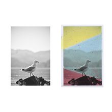 ··MAR··  Mi Proyecto del curso: Coloreado de fotografías con acuarela. Projekt z dziedziny Fotografia,  Sztuki piękne, Malowanie akwarelą i Fotografia analogowa użytkownika Alba Armengol Martínez - 13.03.2022