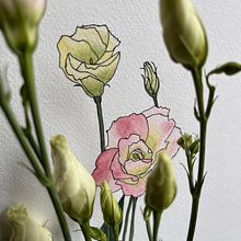 Mein Kursprojekt: Botanisches Zeichenheft: ein meditativer Ansatz. Traditional illustration, Sketching, Drawing, Watercolor Painting, Botanical Illustration, and Sketchbook project by claudiakatharina_ - 03.14.2022