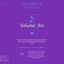 SEXO POR EL PLANETA. Un proyecto de Desarrollo Web y Diseño Web de Carlos E. Molina Tovar - 14.03.2022