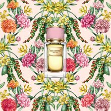 Dolce & Gabbana - Velvet Love . % Frederique Vernillet tarafından hazırlanan Geleneksel illüstras, Ve on projesi - 03.15.2022