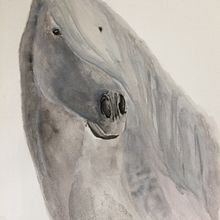 Mon projet du cours : Portraits expressifs d'animaux à l'aquarelle. Un proyecto de Ilustración tradicional, Pintura a la acuarela, Dibujo realista e Ilustración naturalista				 de josianepasquier - 15.03.2022