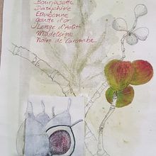 Mein Kursprojekt: Experimentelle Illustration mit Tusche und Acryl. Traditional illustration, and Fine Arts project by Ingrid Habel - 03.15.2022