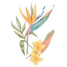 Meu projeto do curso: Aquarela realista para composições botânicas. Un proyecto de Ilustración tradicional, Pintura, Dibujo, Pintura a la acuarela e Ilustración botánica de Edi Assis - 15.03.2022