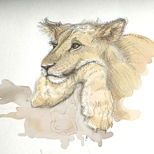 Animal portraits. Traditional illustration project by myclumsydance - 03.16.2022