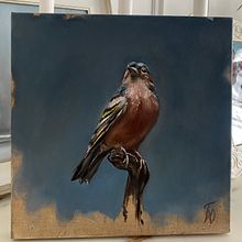 My project for course: Classical Oil Painting for Naturalist Bird Portraiture. Un proyecto de Bellas Artes, Pintura, Pintura al óleo e Ilustración naturalista				 de Lola BR - 16.03.2022