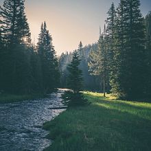 Be the one with the nature  Ein Projekt aus dem Bereich Kunstleitung und Modefotografie von victoria_denoia - 16.03.2022