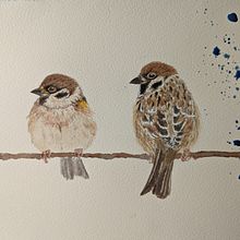 My project for course: Artistic Watercolor Techniques for Illustrating Birds. Traditional illustration, Watercolor Painting, Realistic Drawing, and Naturalistic Illustration project by kimi_skyblue5 - 03.16.2022