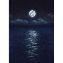 Moonlight on Sea Ein Projekt aus dem Bereich Digitale Illustration, Digitale Zeichnung, Digitale Malerei, Traditionelle Illustration und Malerei von Shannon Carter - 14.03.2022