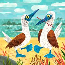 Blue-Footed Boobies for course Playful Animal Illustration with Photoshop. Projekt z dziedziny Trad, c, jna ilustracja, Ilustracja c i frowa użytkownika Valeria Danilova - 17.03.2022
