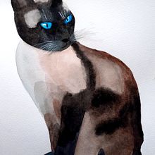 My project for course: Expressive Animal Portraits in Watercolor. Traditional illustration, Watercolor Painting, Realistic Drawing, and Naturalistic Illustration project by Stefanie Jaschinski - 03.17.2022