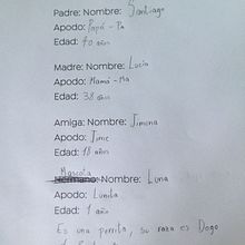 Mi Proyecto del curso: Escritura de una novela juvenil. Writing, Creativit, Communication, Narrative, and Children's Literature project by Giuliana Rodríguez - 03.17.2022