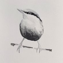 My project for course: Artistic Watercolor Techniques for Illustrating Birds. Traditional illustration, Watercolor Painting, Realistic Drawing, and Naturalistic Illustration project by Regina Go - 03.18.2022