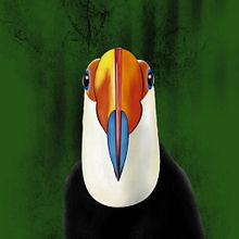 Tucano. Un progetto di Illustrazione tradizionale, Illustrazione digitale e Disegno digitale di Mau Ricio - 17.03.2022