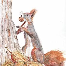 My project for course: Illustrating Nature: A Creative Exploration. Projekt z dziedziny Trad, c, jna ilustracja,  Malarstwo,  R, sunek, Malowanie akwarelą,  R, sunek atramentem, Ilustracja naturalist i czna użytkownika ewe - 18.03.2022