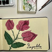 Mi Proyecto del curso: Cuaderno botánico en acuarela. Traditional illustration, Watercolor Painting, Botanical Illustration, and Sketchbook project by Camila Schuckmann - 03.18.2022